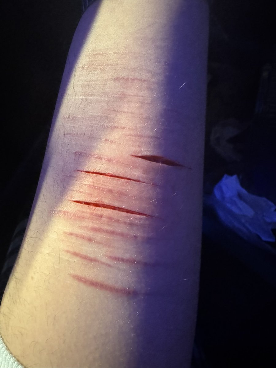 nagisa shiota of shedtwt 🪼 tweet media