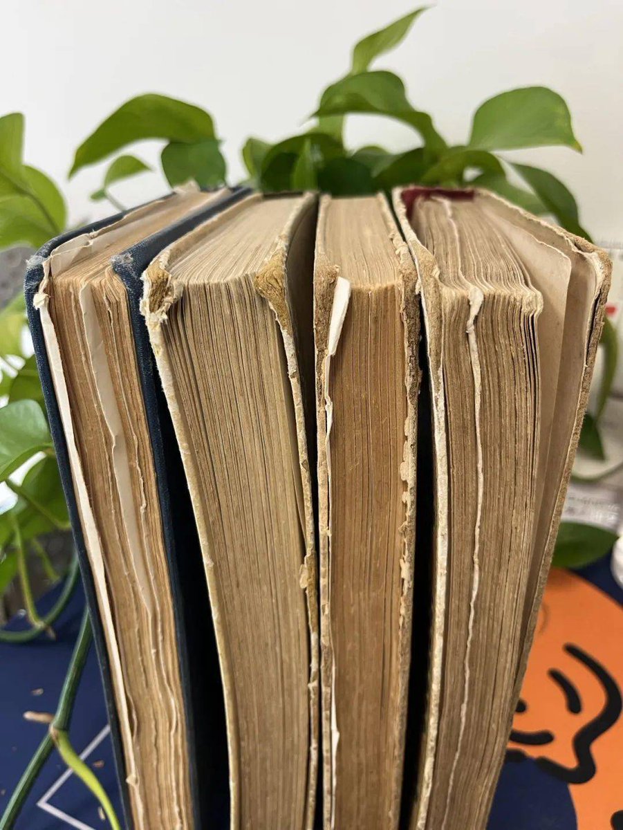 methwalai's tweet photo. Just finished To Kill a Mockingbird—raw, wise, and a masterclass in empathy. Harper Lee’s words stick like glue. What’s your all-time favorite book that changed how you see the world https://t.co/MLYGiy88bC