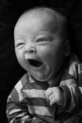 د.غيث الغمام tweet media