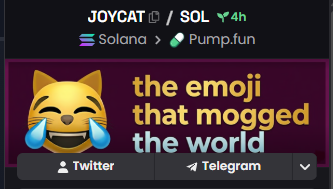 JOYCAT 🕶️ tweet media