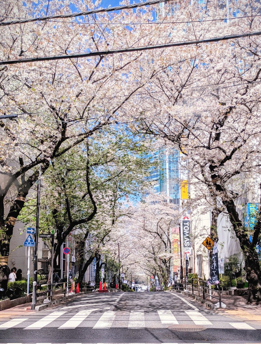 稲月カノン tweet media