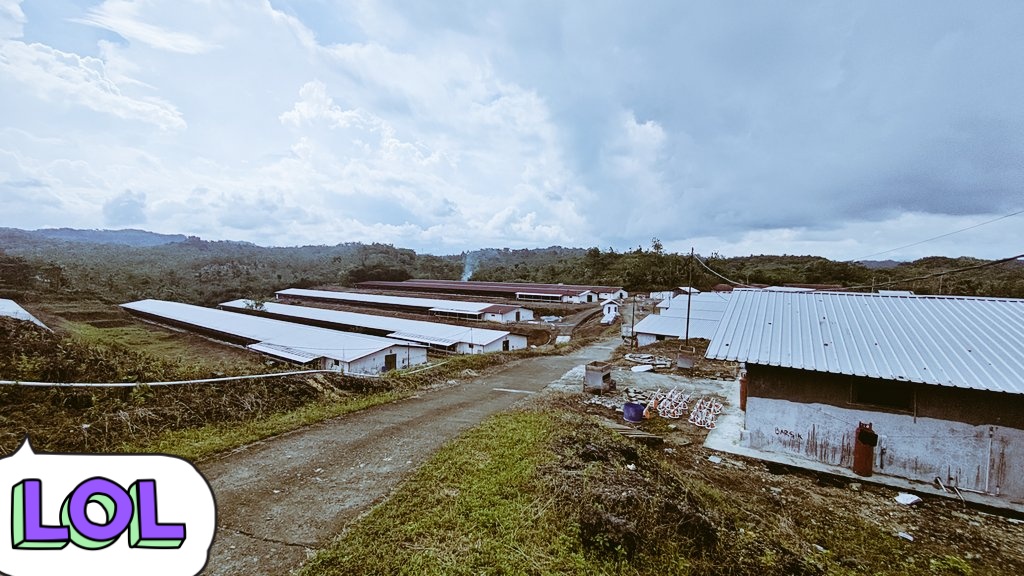 KINK Fathruky19 tweet media