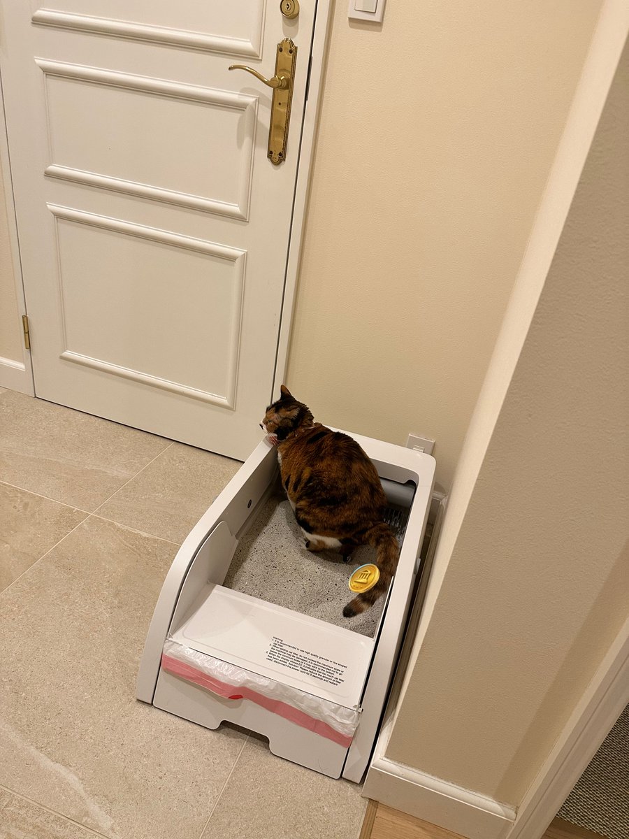 元鈴木さん tweet media