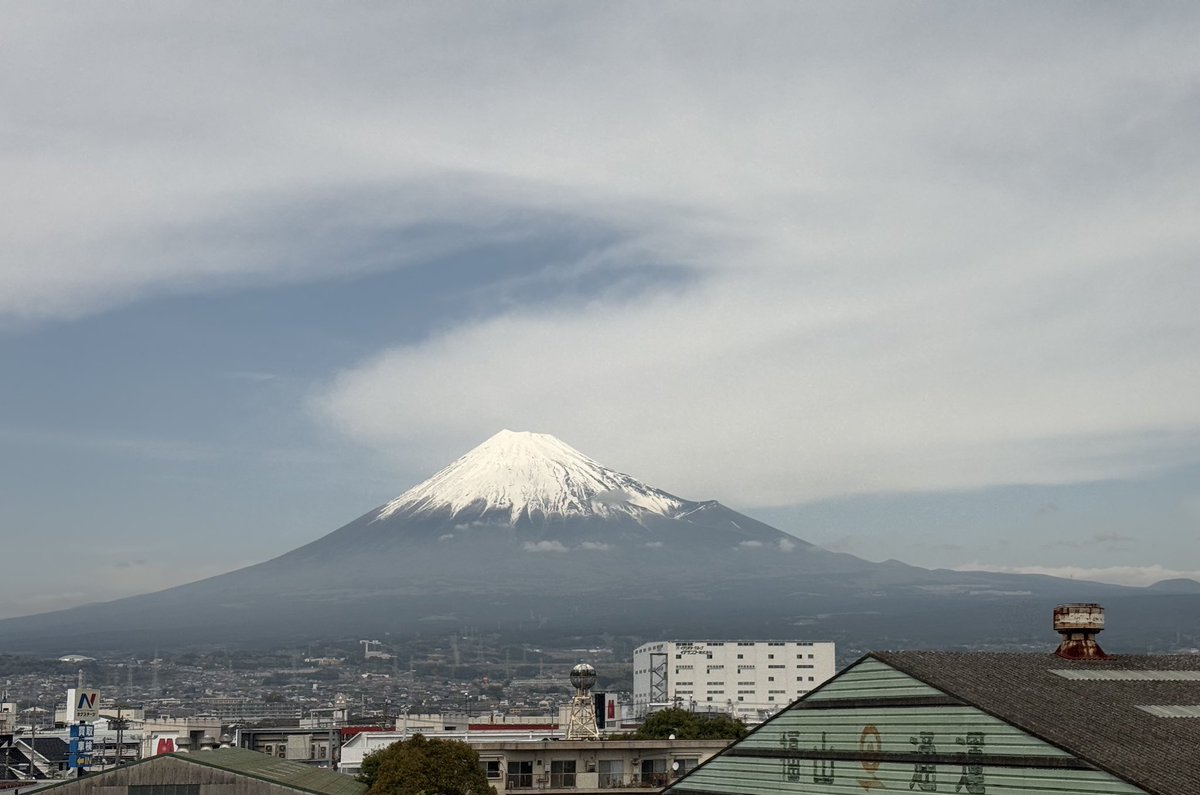 榎本晋作/未来学でイギリス大学院奮闘中🌏 tweet media