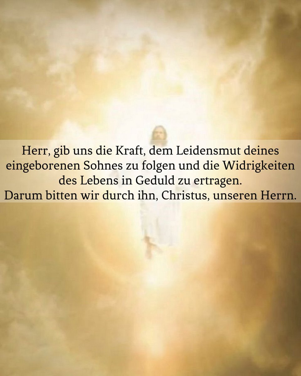 Rosenkönigin tweet media