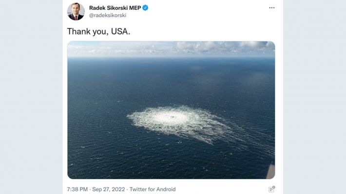 Michal 🦥⛵🚙🏴☠️ tweet media