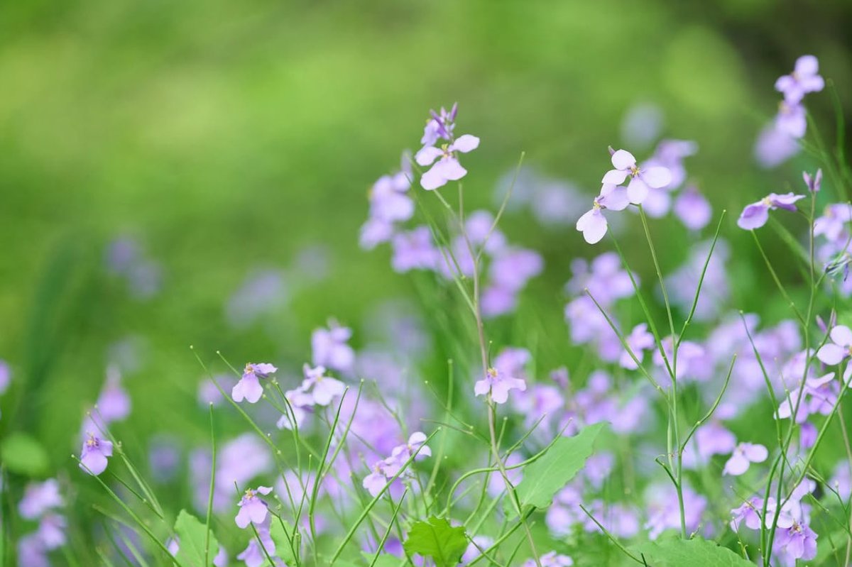 Jose Moreno tweet media