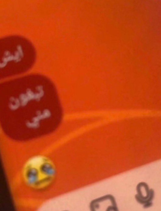 Totototoaaa tweet media