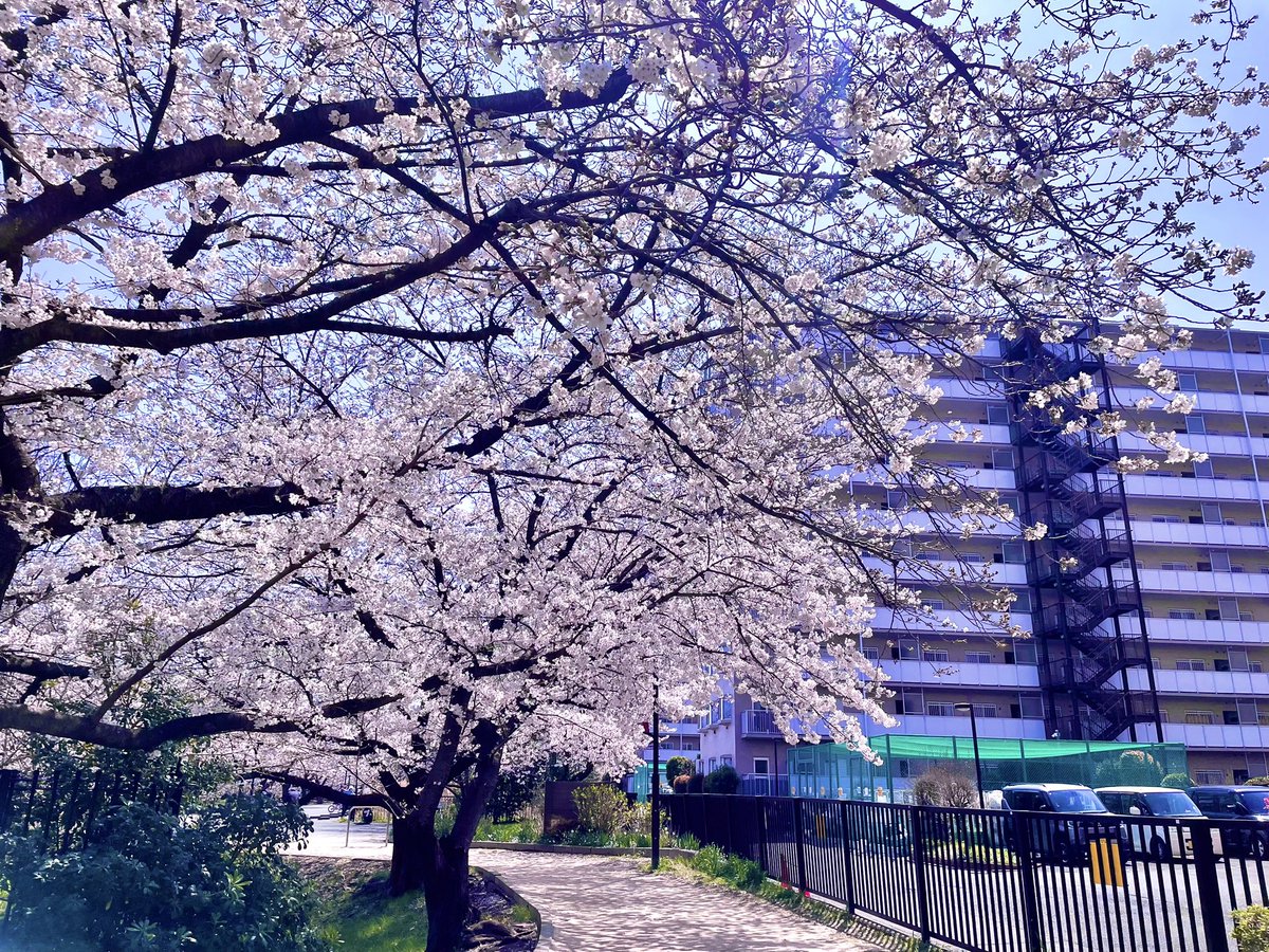 ちゃみ tweet media