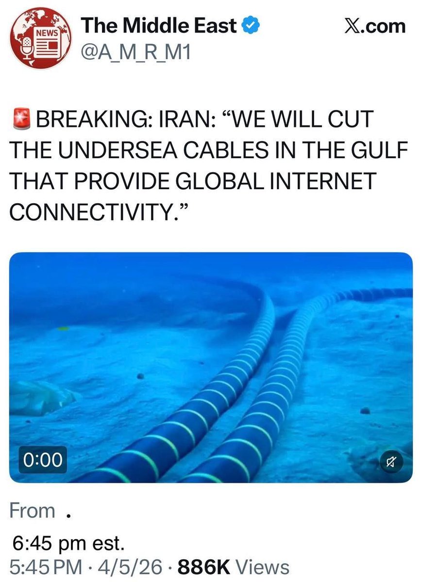 Tina Zimmermann tweet media