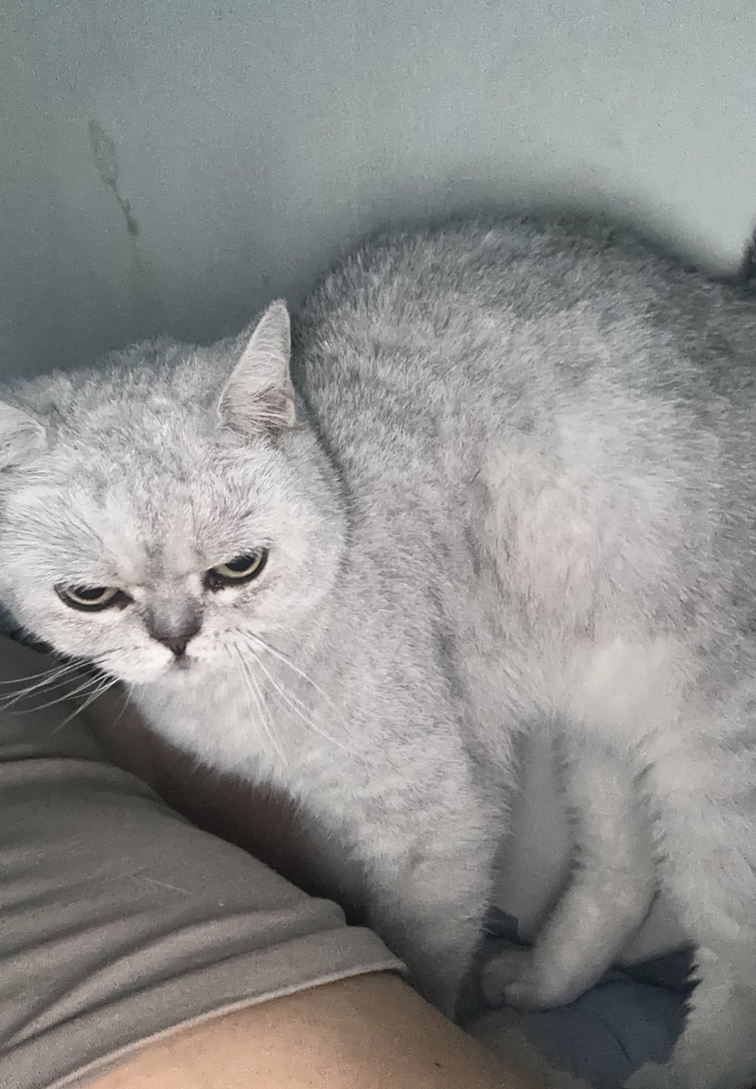 Keluarga Yuki tweet media