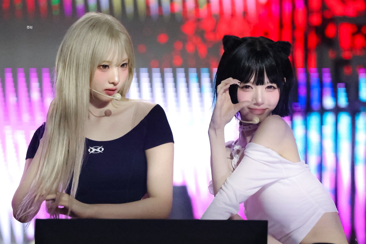 주비주곽🦆 tweet media