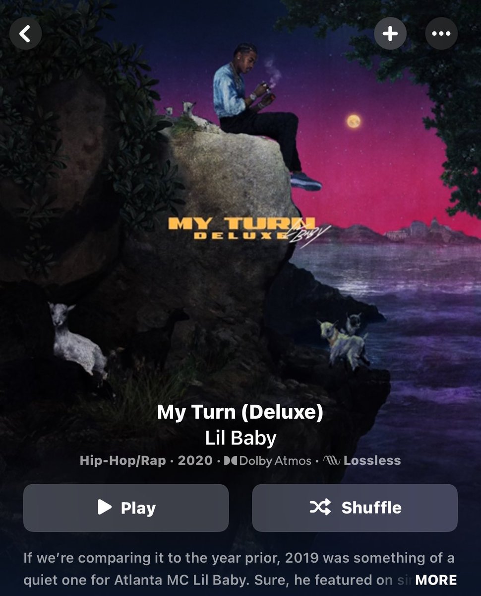 osama ✰ tweet media