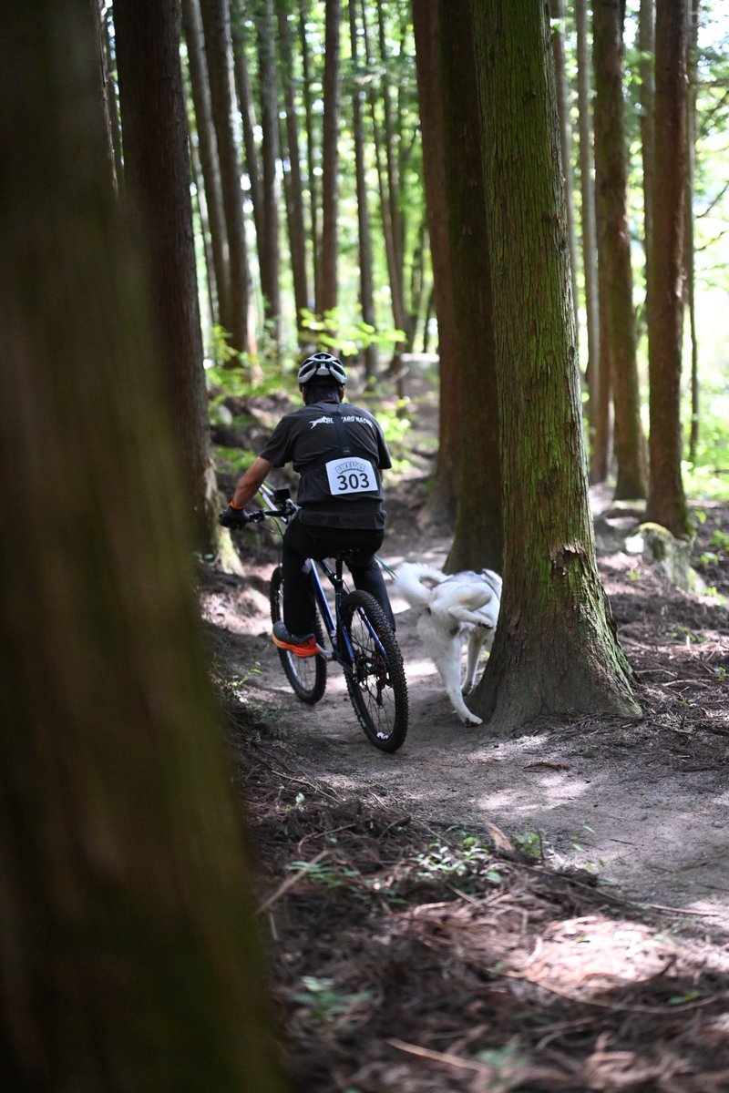 bikelorejp's tweet photo. 白州の森バイクロア12  
新コースマップ完成！

親水池エリアがメイン会場に🌿  
キッチンカー＆マーケットに加え、  
話題の「DIGDUG（ワンコインフリマ）」も展開！

アスファルト〜ダート〜シングルトラックまで  
走っても、遊んでも最高なコースに仕上がってます🚴‍♂️家族でも1日楽しめるバイクロア https://t.co/U6i2TTYkps