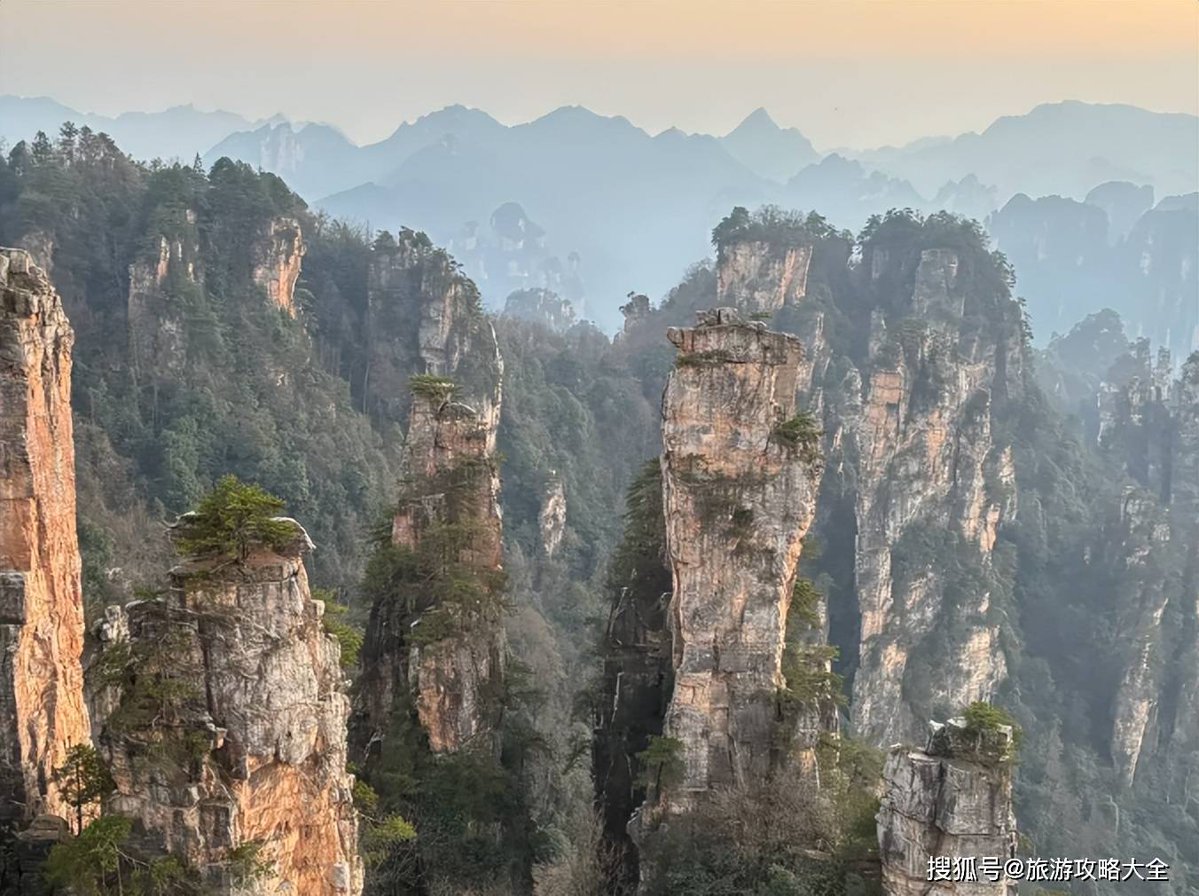 gurmukh Gill tweet media