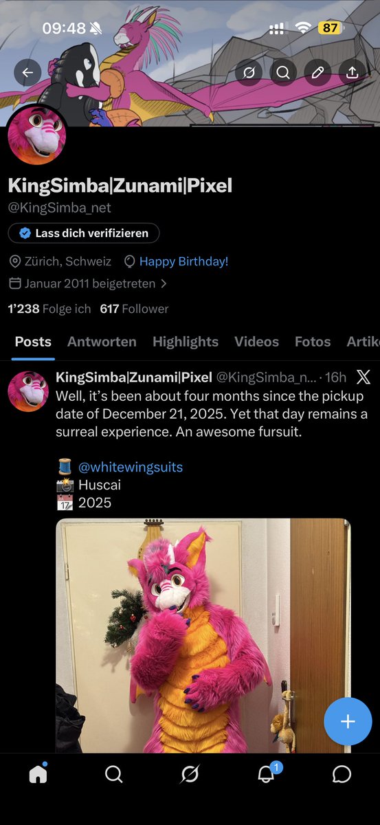 KingSimba|Zunami|Pixel tweet media