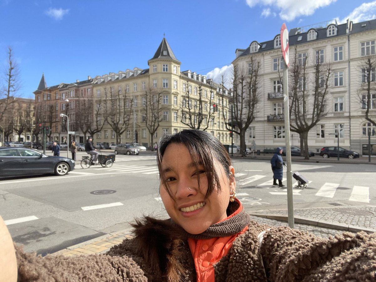 Sealseal tweet media