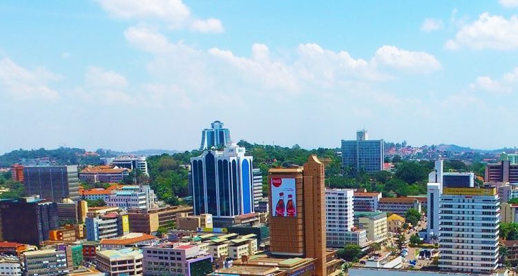 Not Elon Musk tweet media