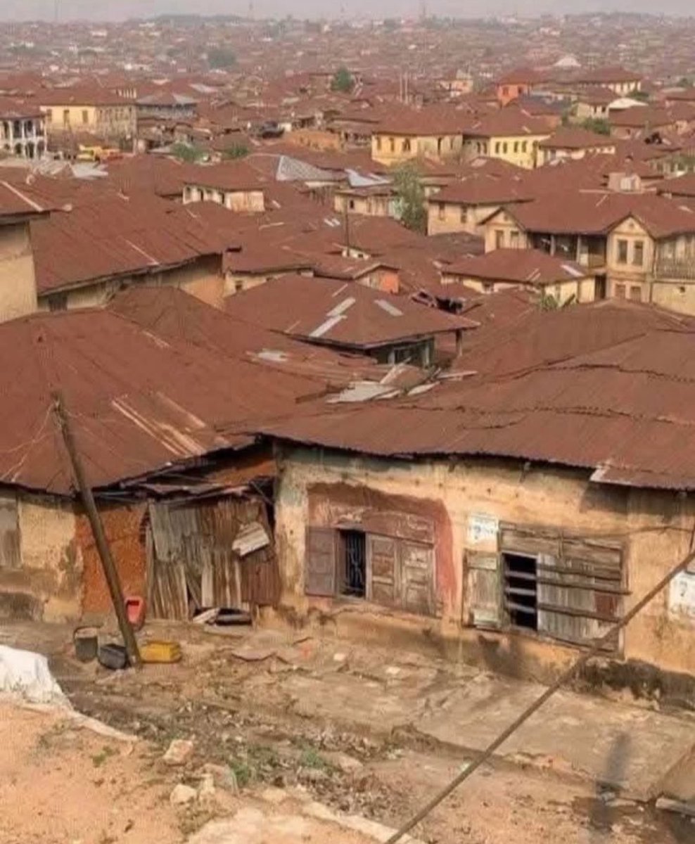 Not Elon Musk tweet media