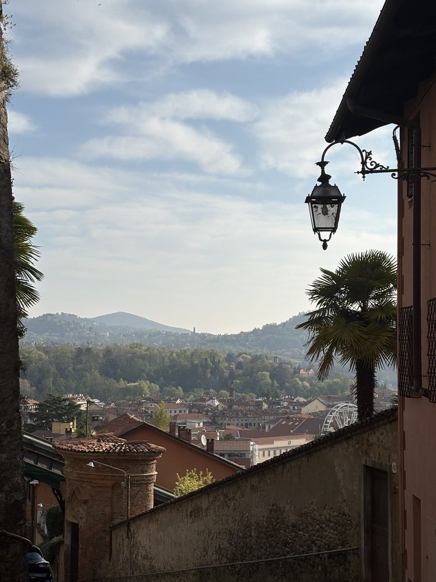 Queen___IRCA tweet media