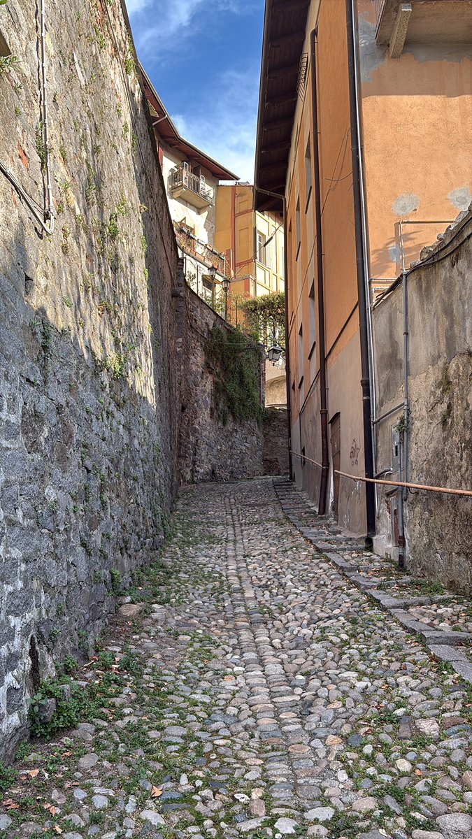 Queen___IRCA tweet media