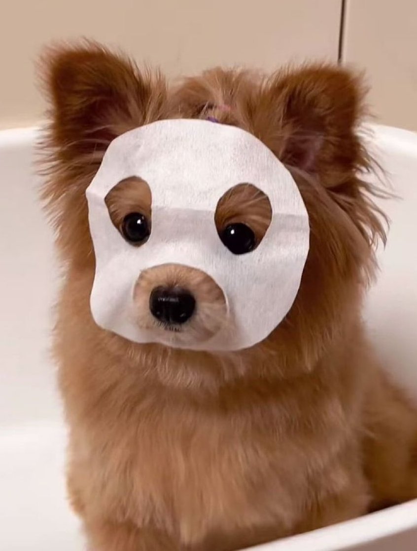 ◟ 삥 ♡ 🎀 tweet media