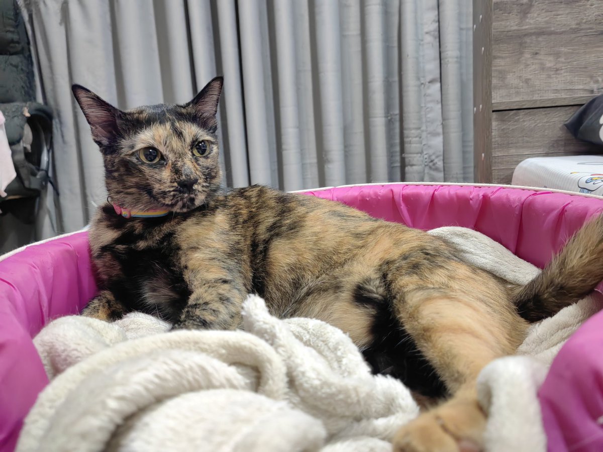 มะยิ*555 tweet media