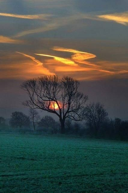 Kevin Michael Callihan Sr. tweet media