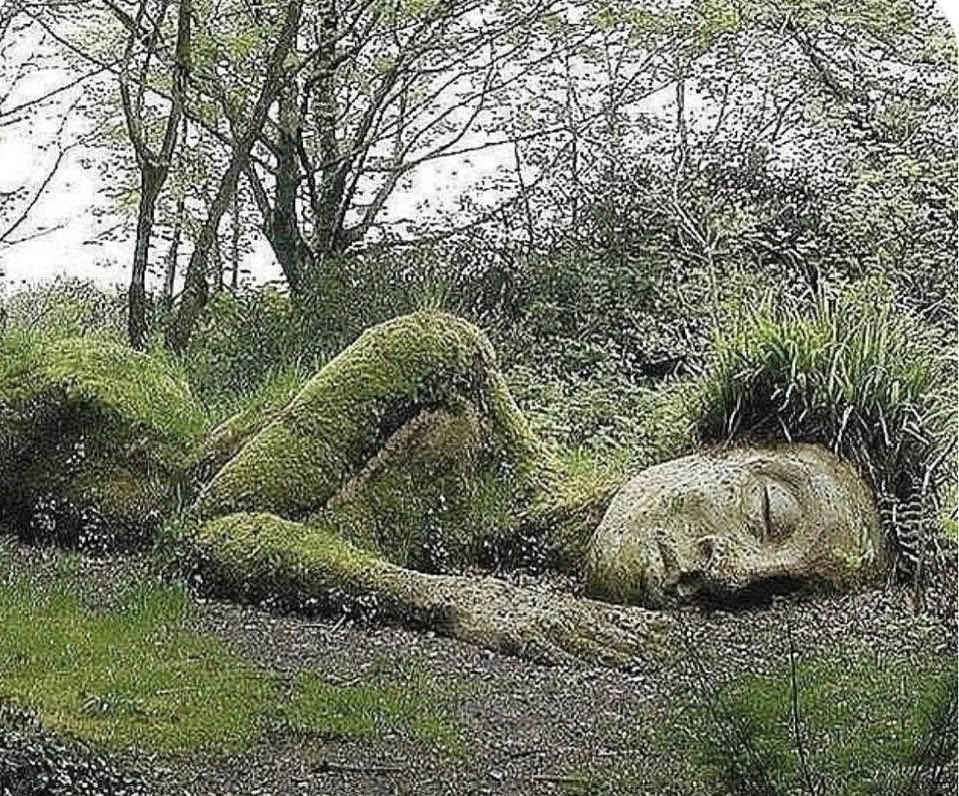 Isabelle Balkany tweet media