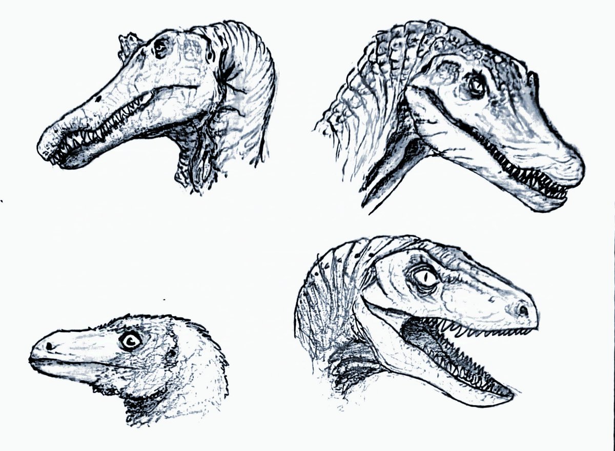 🅉🅄🄻 tweet media