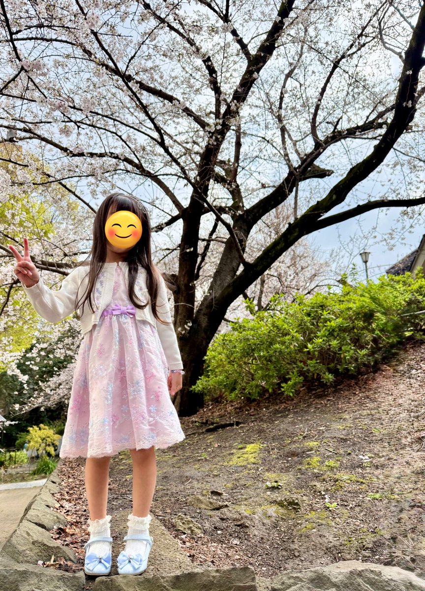 雨情華月 🌟かじゅにゃんまったり tweet media