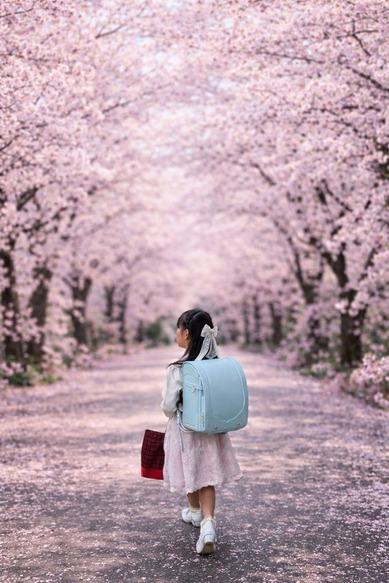 雨情華月 🌟かじゅにゃんまったり tweet media