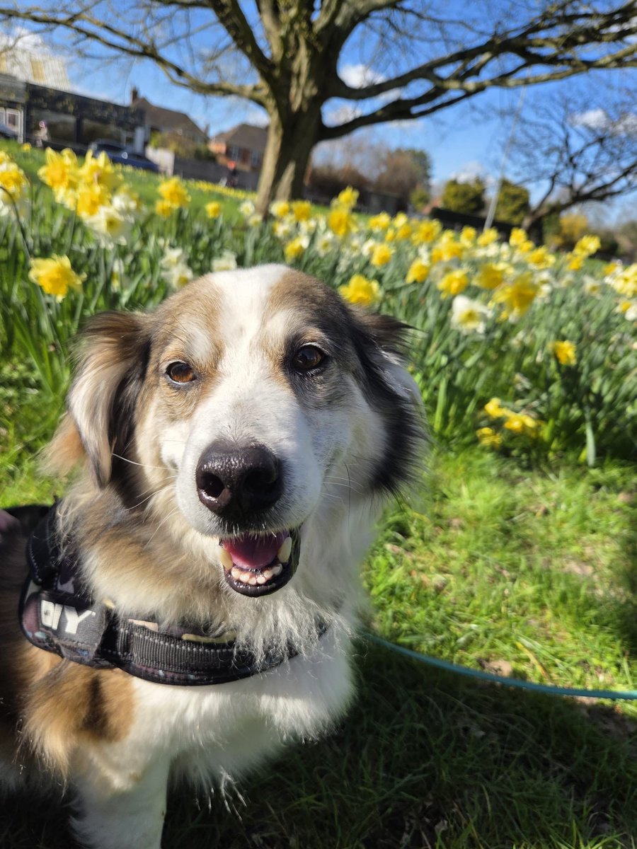 Niall Harbison tweet media