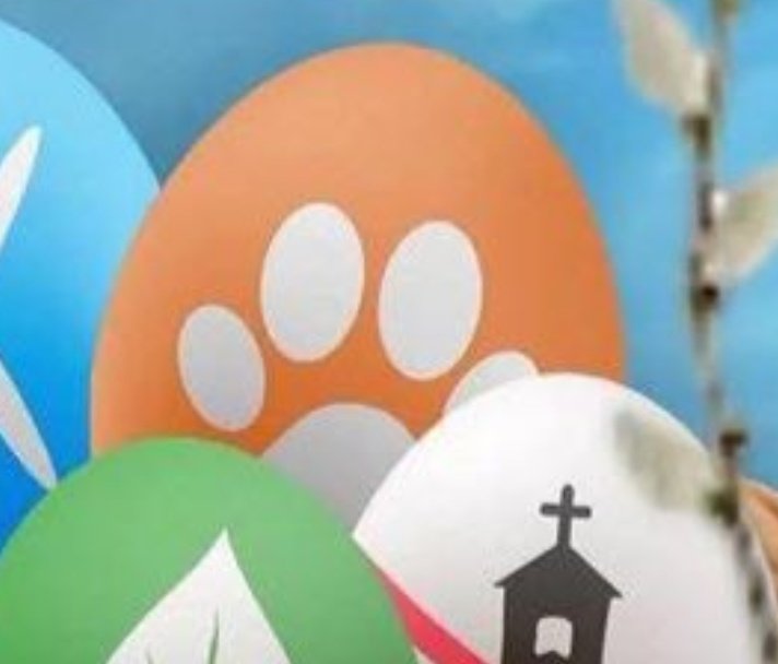 𝙼𝙸𝚂𝙸𝙰𝙲𝚉𝙴𝙺 tweet media