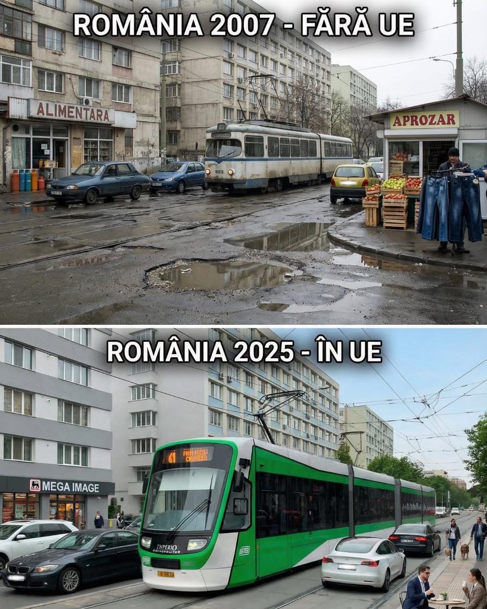 Emergency Turtle tweet media