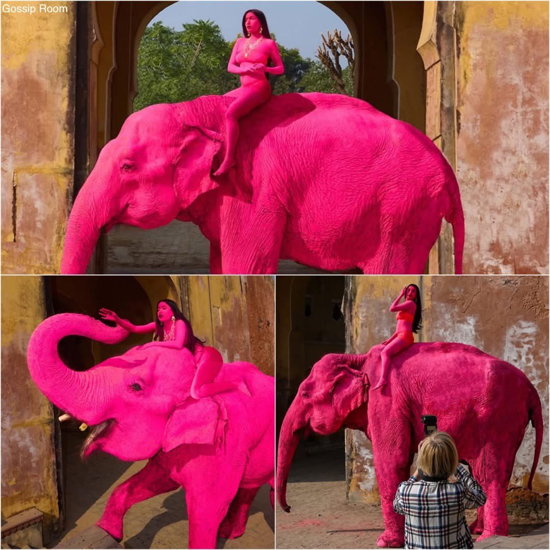 GOSSIP ROOM tweet media