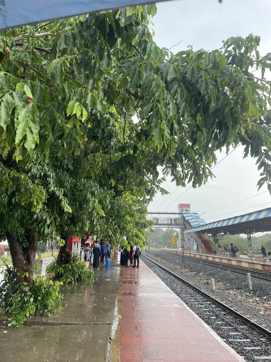 Srinivasa Raghavan V tweet media