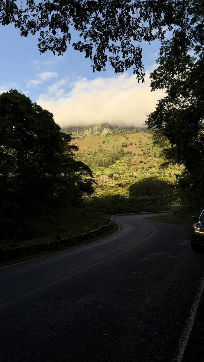 Alex Kamau tweet media