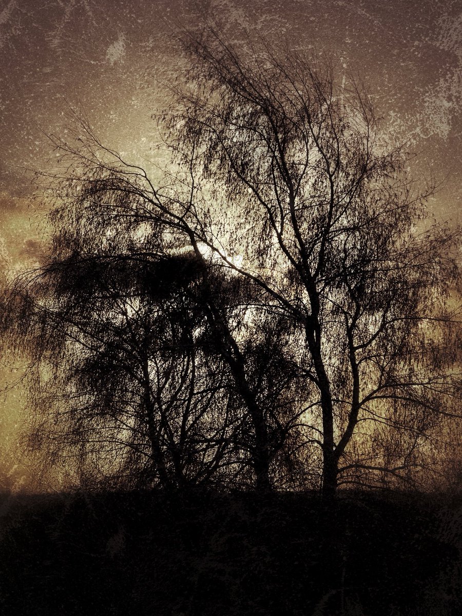 DrKreuels's tweet image. Männer und Trennung?

Viele Vorträge zum Thema, kommt vorbei.

wieden.com/mens-change-20…

Ich berichte aus der Sicht der Trauer.

#trauer #männer #krisen