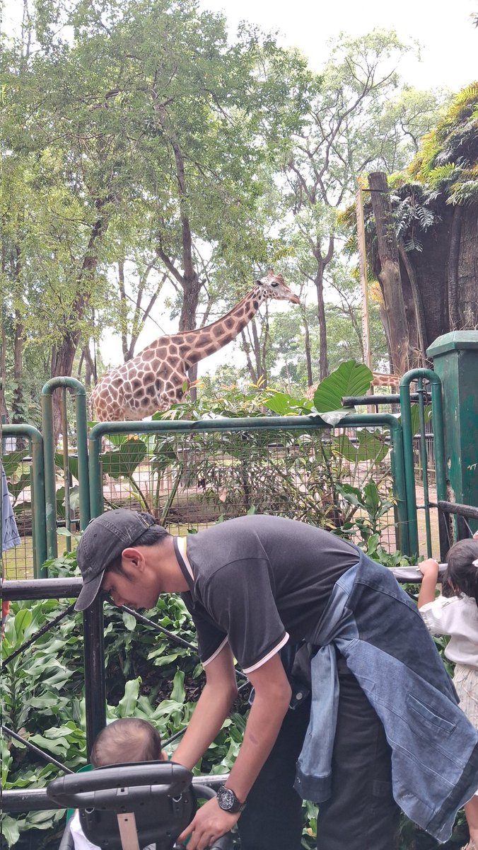 thumbflr's tweet photo. ragunan https://t.co/bo3okzUKBm