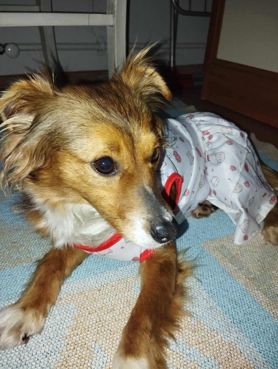 Murat de Bergerac tweet media