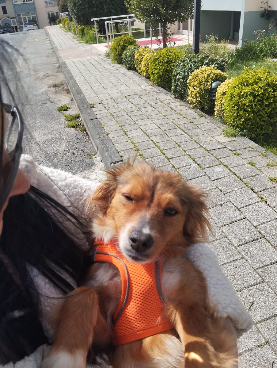 Murat de Bergerac tweet media