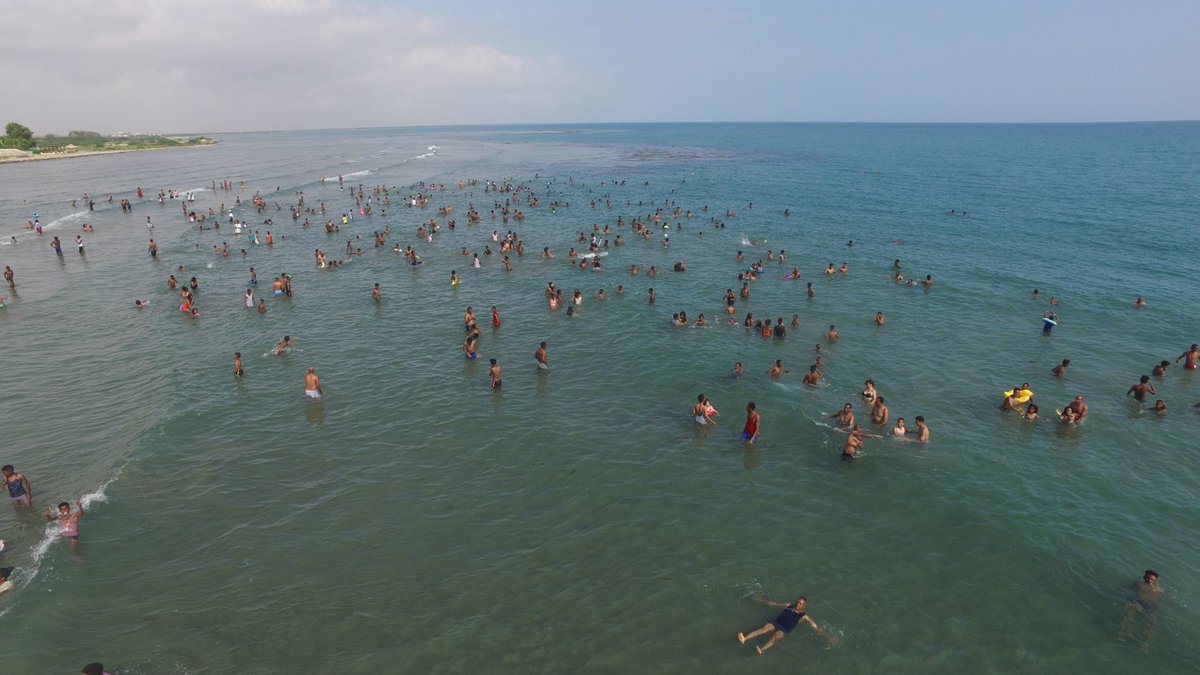 Sertseyonas Negash 🇪🇷 tweet media