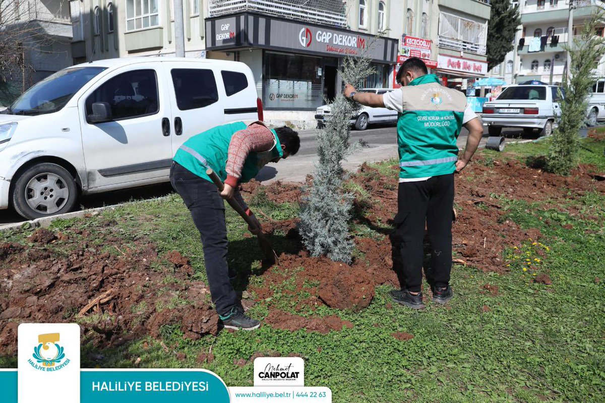 haliliye_bld's tweet photo. HALİLİYE’DE YAZ ÖNCESİ PARKLARDA HUMMALI ÇALIŞMA

Haliliye Belediyesi Kırsal Hizmetler Müdürlüğü’ne bağlı Park ve Bahçeler Birimi, ilçe genelindeki yeşil alanlarda yürüttüğü mevsimsel çalışmalarına aralıksız devam ediyor. Parklarda sürdürülen düzenleme ve yenileme faaliyetleri, mahalle muhtarları ile vatandaşların da beğenisini kazanıyor.

https://t.co/GFtx9506xd
