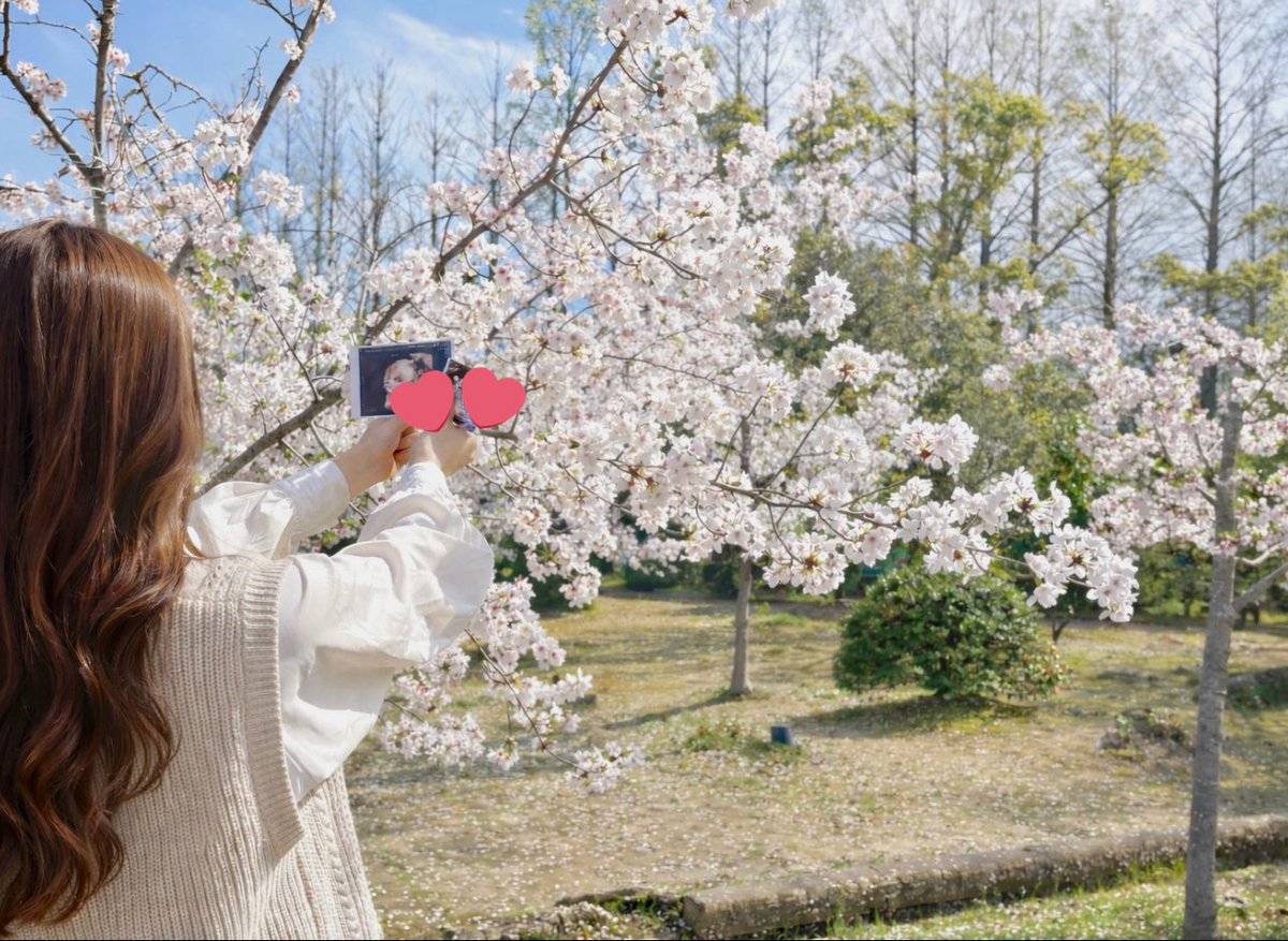 strawberryber_g's tweet photo. お花見行ったよ〜🌸
ベビちゃんのエコー写真と共に👶🏻🤍ྀི
来年は一緒に行けるように、来年は赤ちゃんを抱っこした写真が撮れるように願掛けしてきた🙏🏻
お腹どんどん出てきたなぁ〜〜〜
#34w https://t.co/Ug4esRYsIr