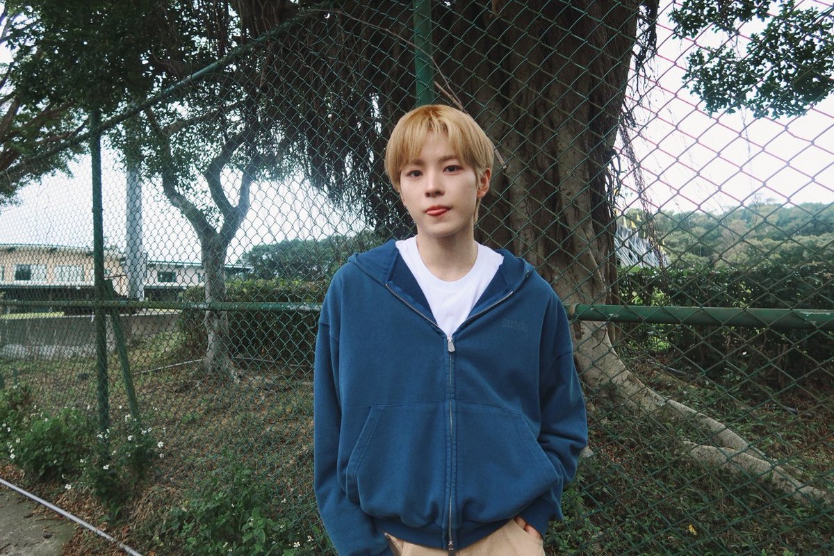 Woodsy Corner. tweet media