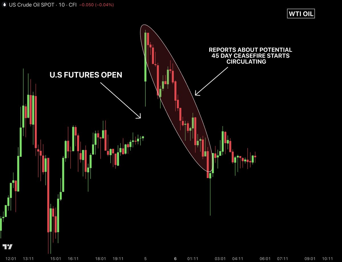 Bull Theory tweet media