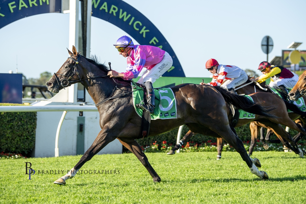 David Pfieffer Racing tweet media