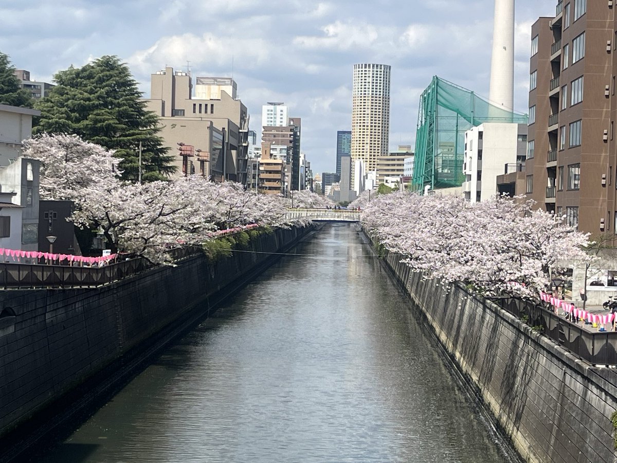 池田式製麺のづゅる麺池田 tweet media