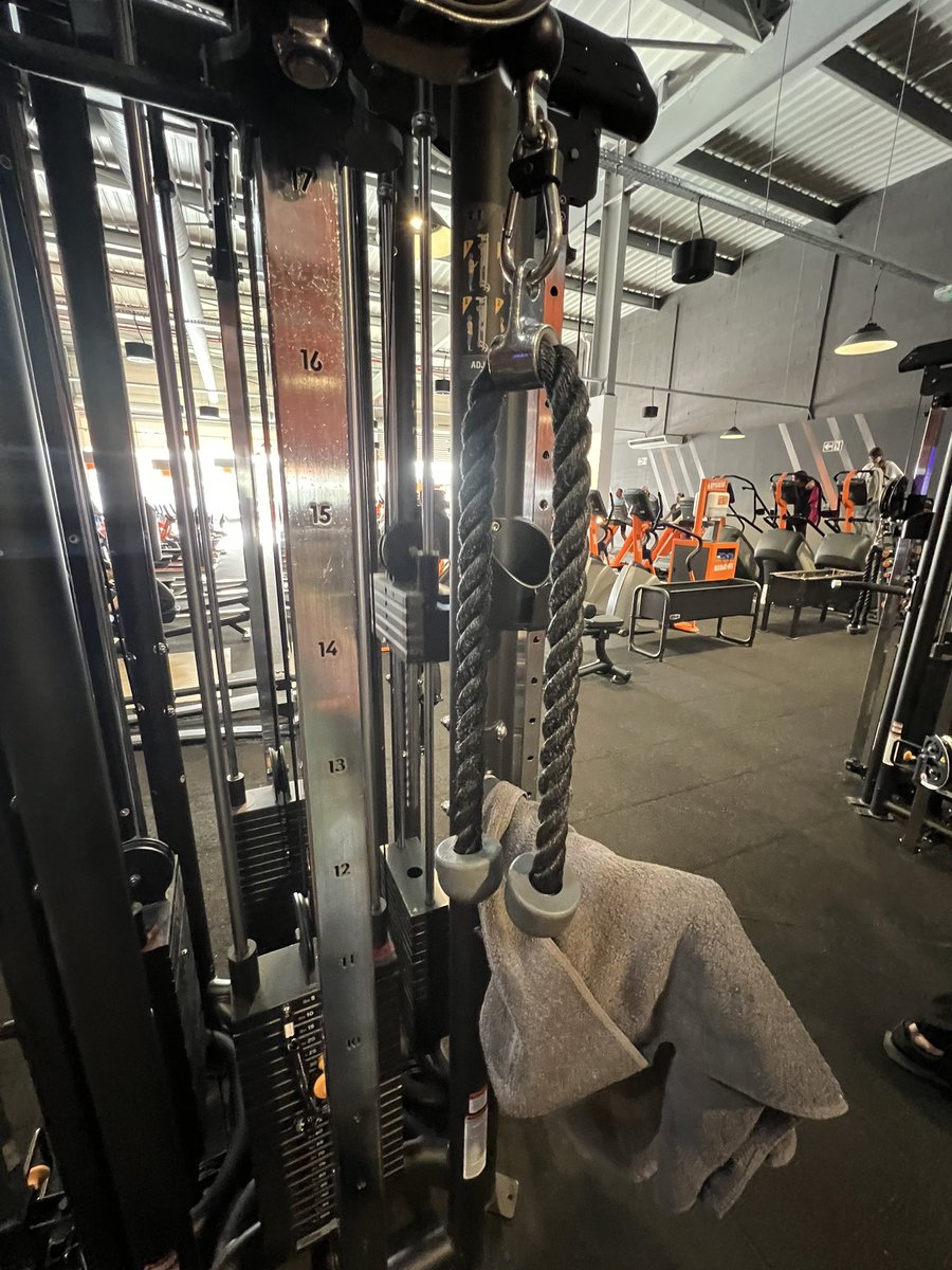 badou 🐻 tweet media